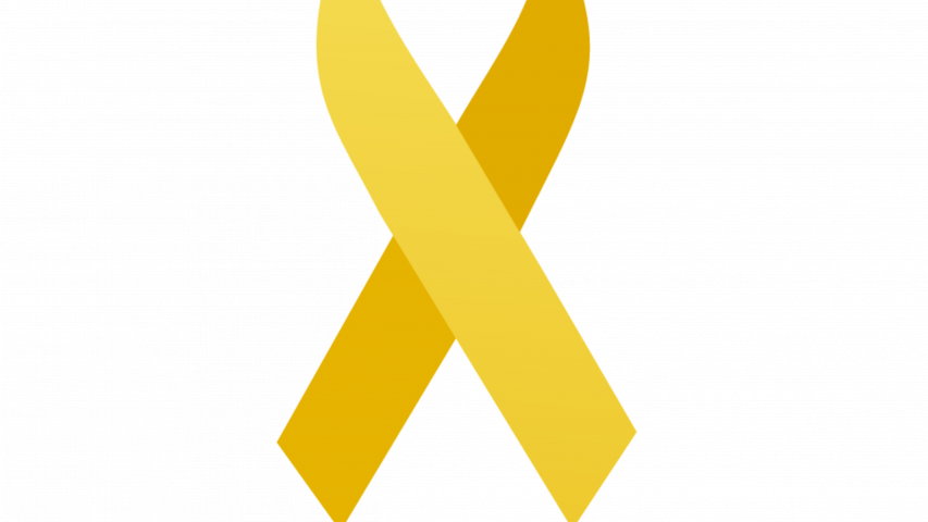 logo maio amarelo 2026